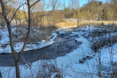 vinter-i-hansted-skov